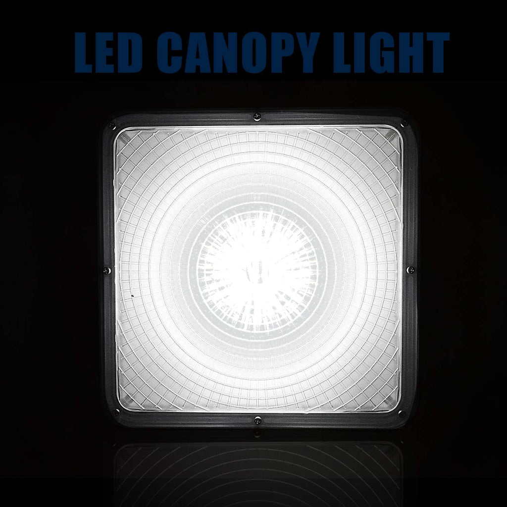70W LED Canopy Lights 2 Pack E410