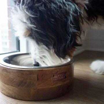 Wood Dog Bowl S96537
