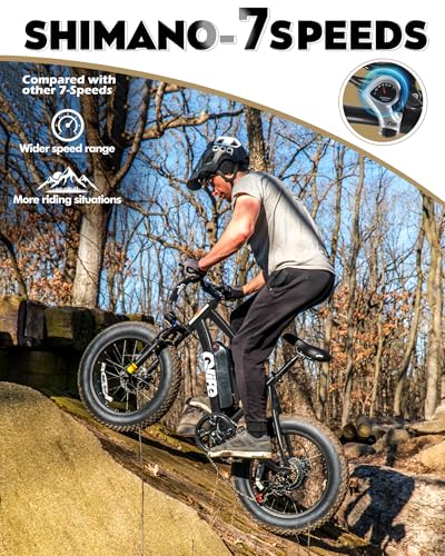 Fat Tire Electric Bike with 20X4.0 Tire, 7-Speed I1091