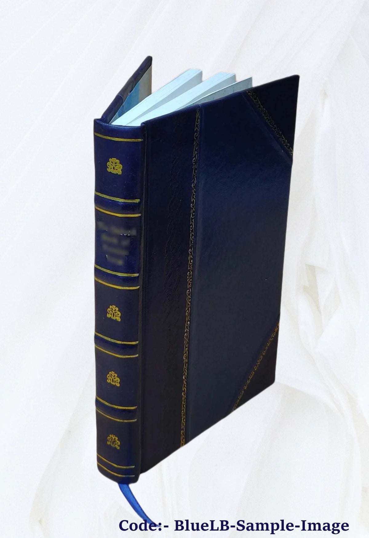 Leather Bound G972013