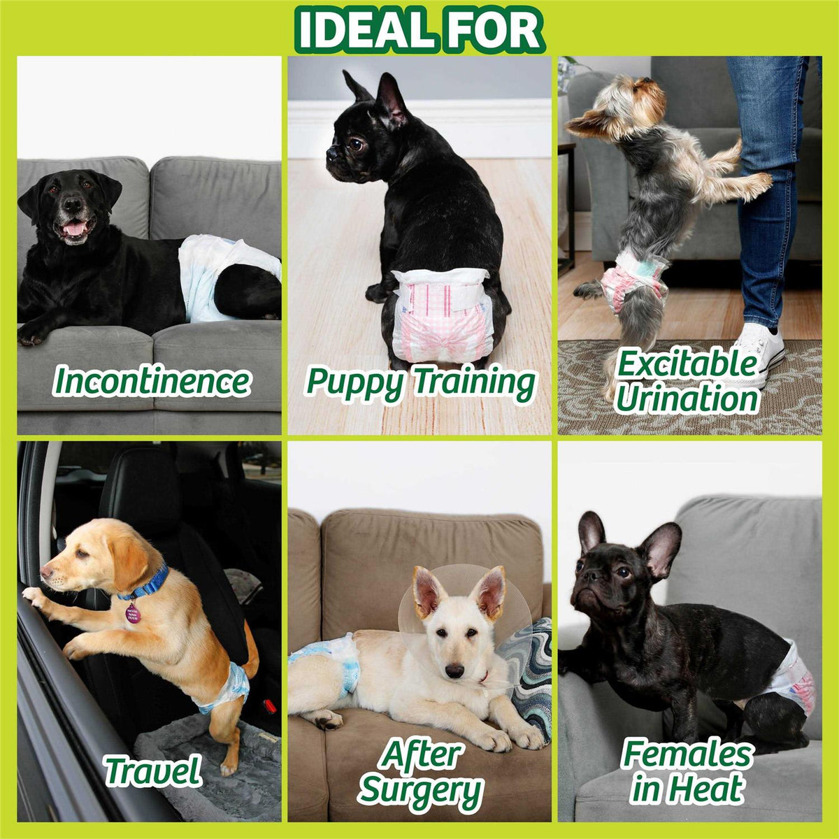 Disposable Dog Diapers K560802
