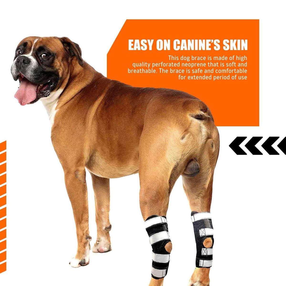 3-in-1 Long Rear Leg Support Dog Splint Braces X5901