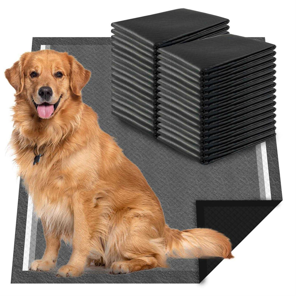 Charcoal Extra Large Puppy Pads C985
