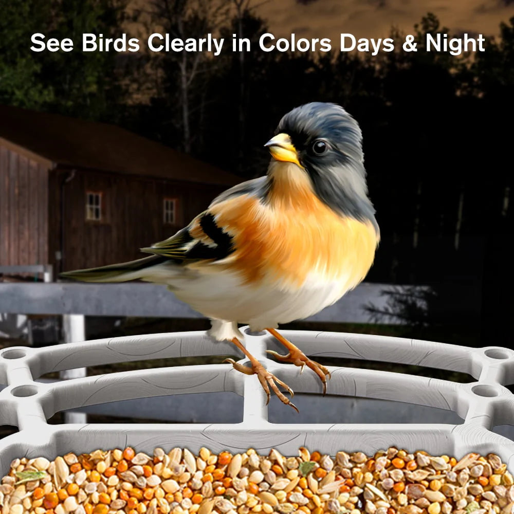 Smart Bird Feeder with Camera, Solar Panel, White X4026