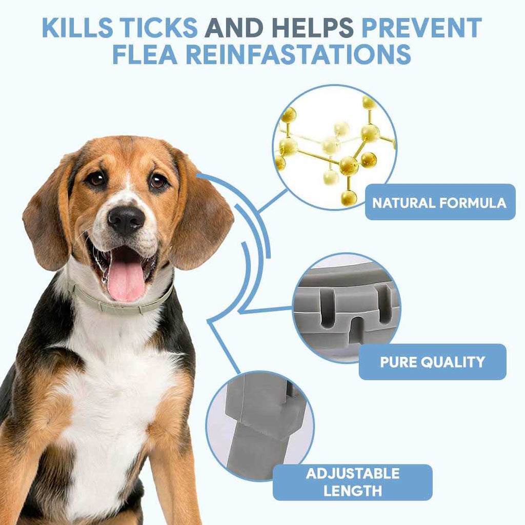 Flea & Tick Repellent Dog Collar E6061