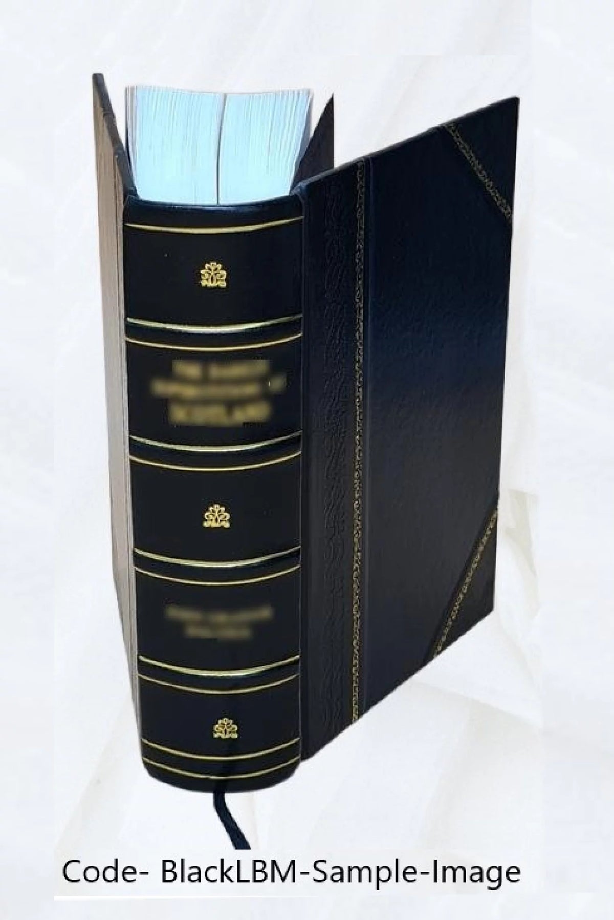 Telephone Appliances and Exchanges V82066