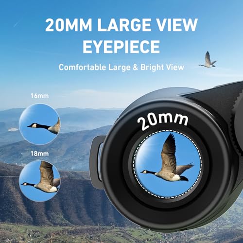 10x42 HD Binoculars with Phone Adapter and Tripod D1135