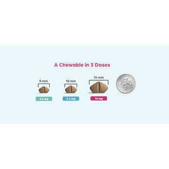 Chewable for Dogs C128198