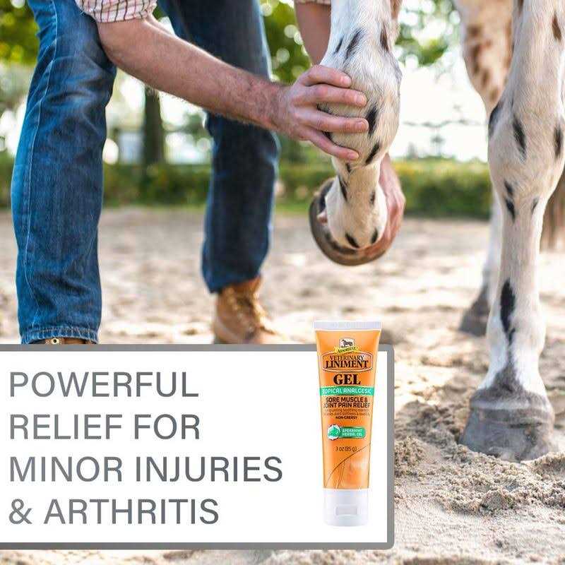 Absorbine Veterinary Liniment Gel D1932