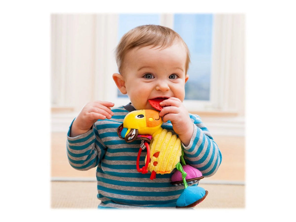 Jittery Pal Pull Toy X5036
