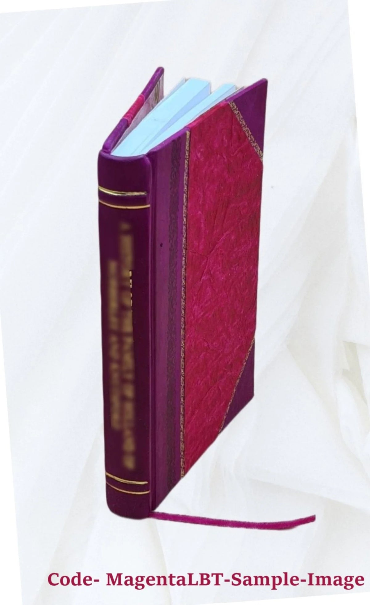 Mathematical essays and recreations Y7277