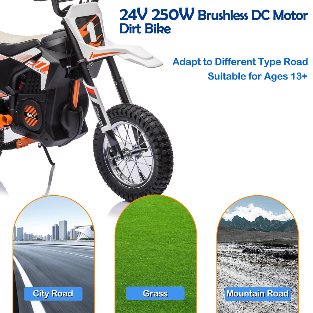 Electric Dirt Bike 24V 250W White M794579