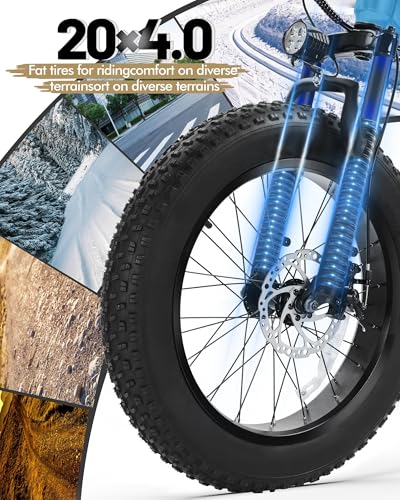 Fat Tire Electric Bike with 20X4.0 Tire, 7-Speed I1091