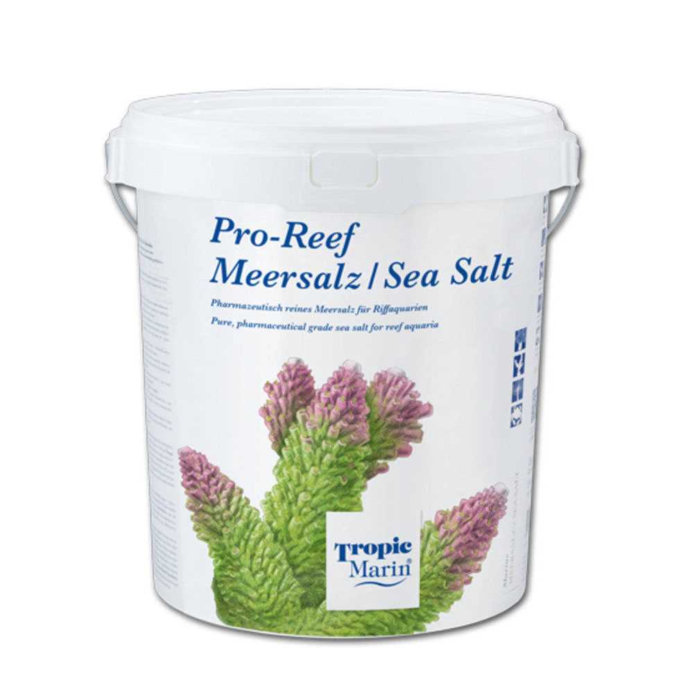 Sea Salt I97129