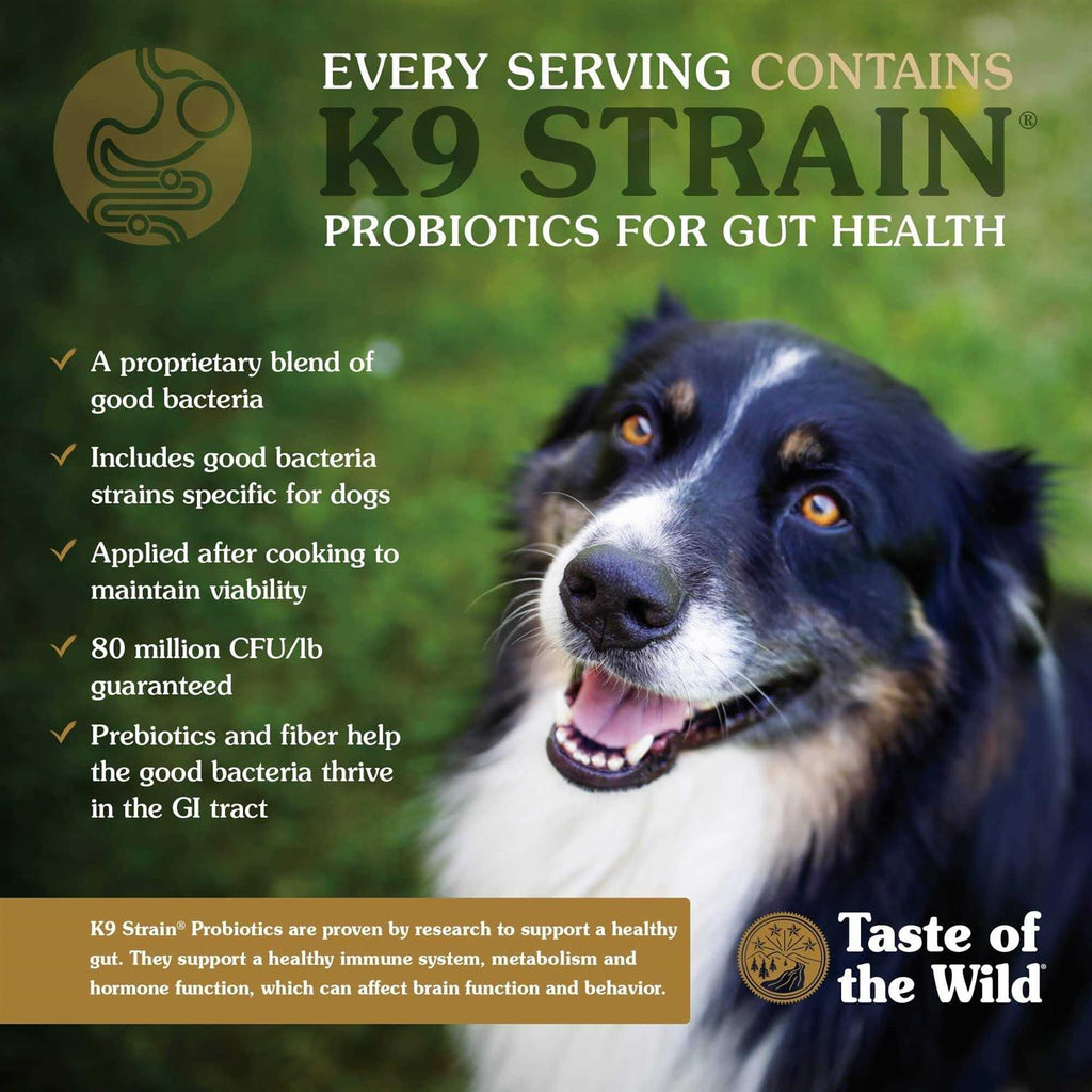 Dog Food P891445