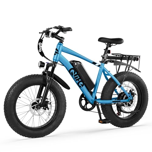 Fat Tire Electric Bike with 20X4.0 Tire, 7-Speed I1091