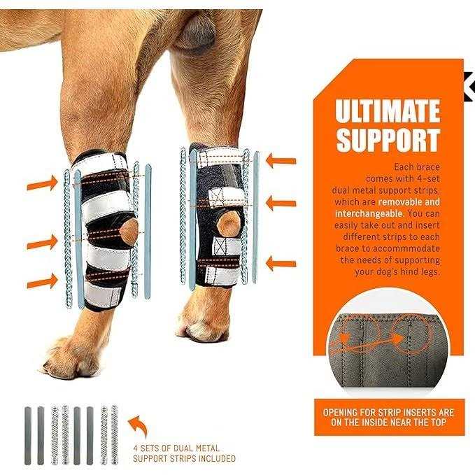 3-in-1 Long Rear Leg Support Dog Splint Braces X5901