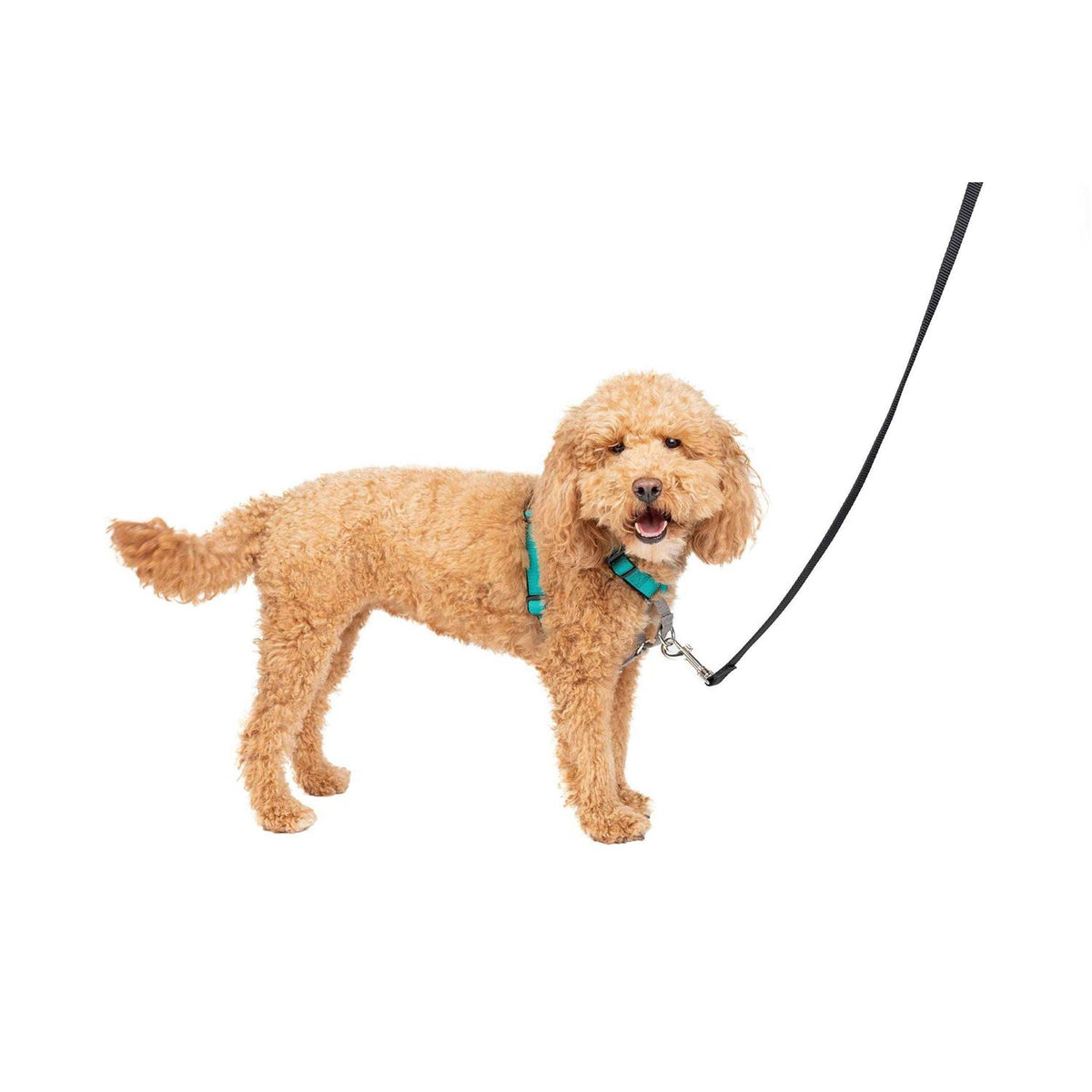 3 in 1 Harness U142
