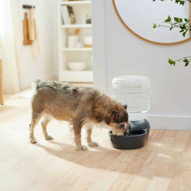 Gravity Waterer T777