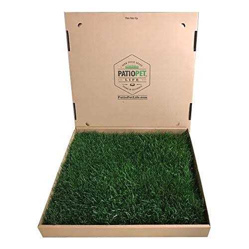 Real Grass Potty S7238