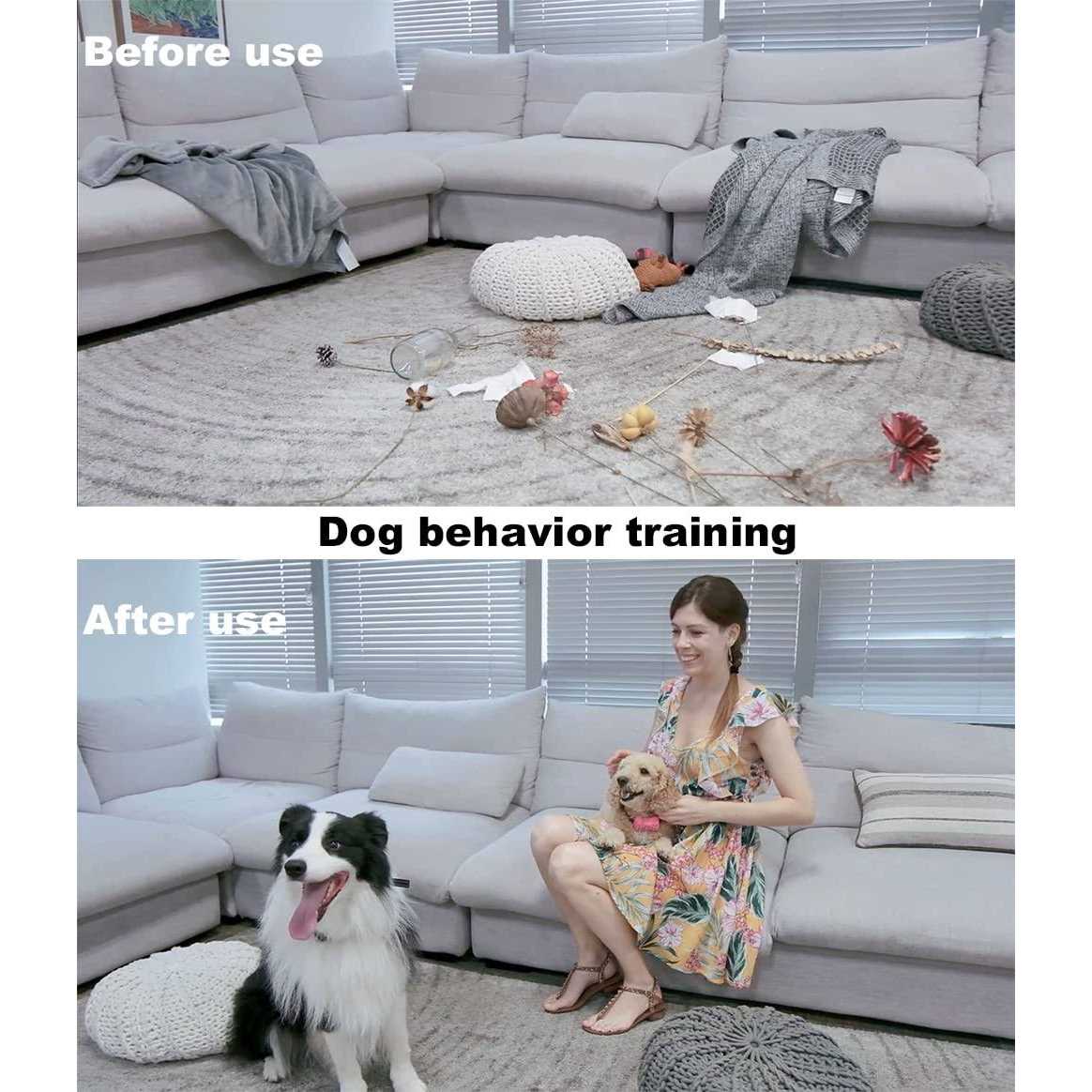 Rechargeable Electric Dog Training Collar for 2 Dogs I1655