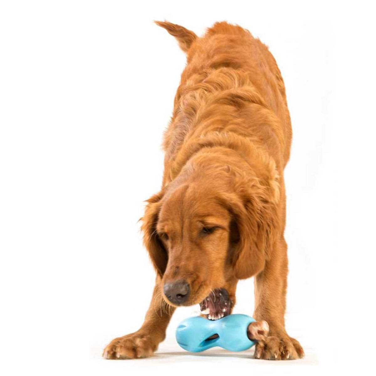 Dog Toy W961