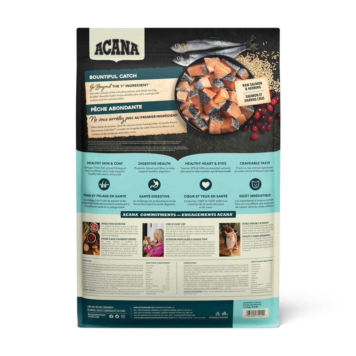 Dry Cat Food Y823365