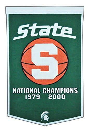 Michigan Wolverines Banner A643