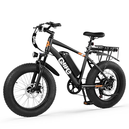 Fat Tire Electric Bike with 20X4.0 Tire, 7-Speed I1091