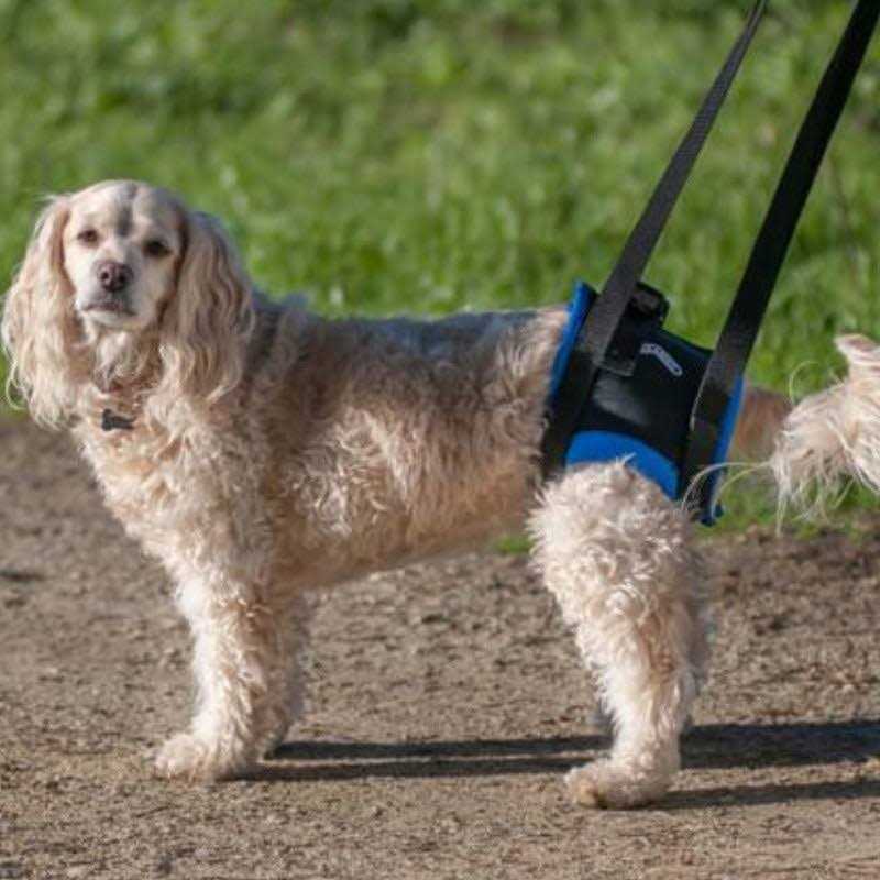 Back End Harness M2566