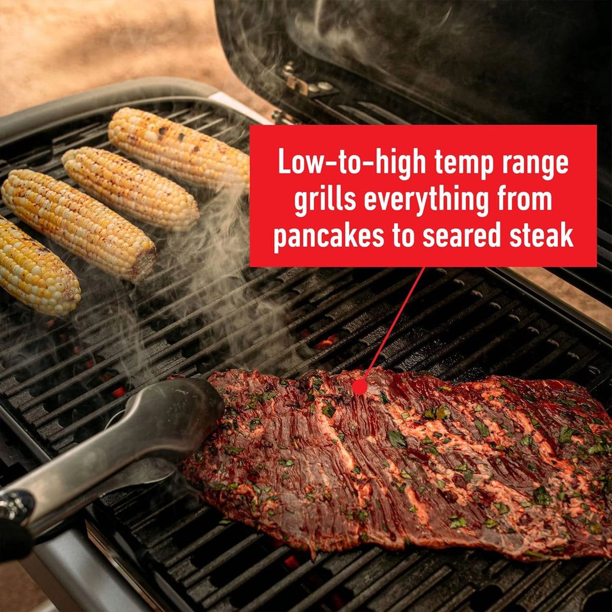 Portable Propane Gas Grill Q3230