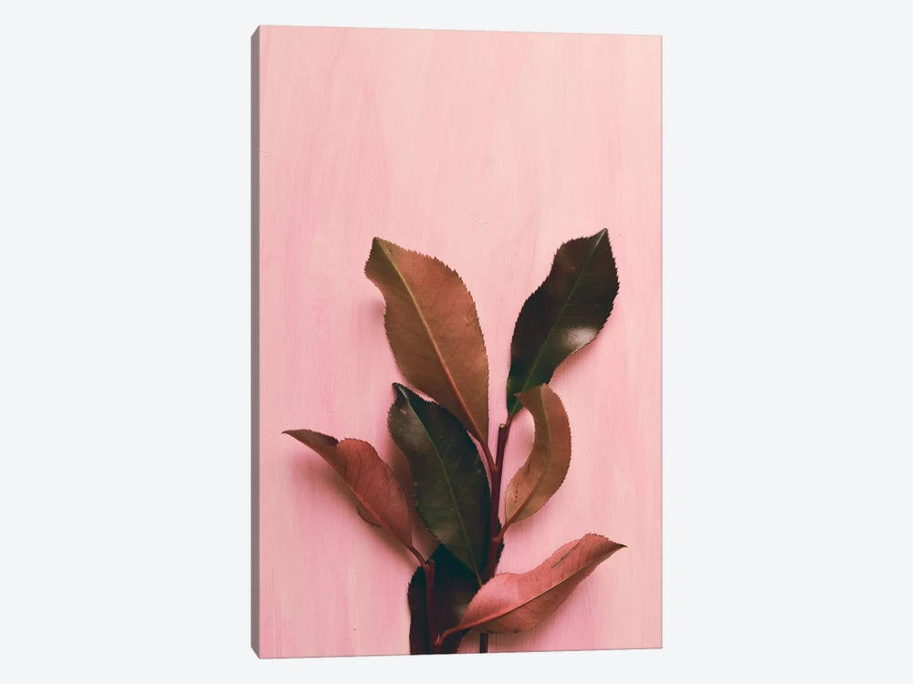 Canvas Prints - Foliage I T580177