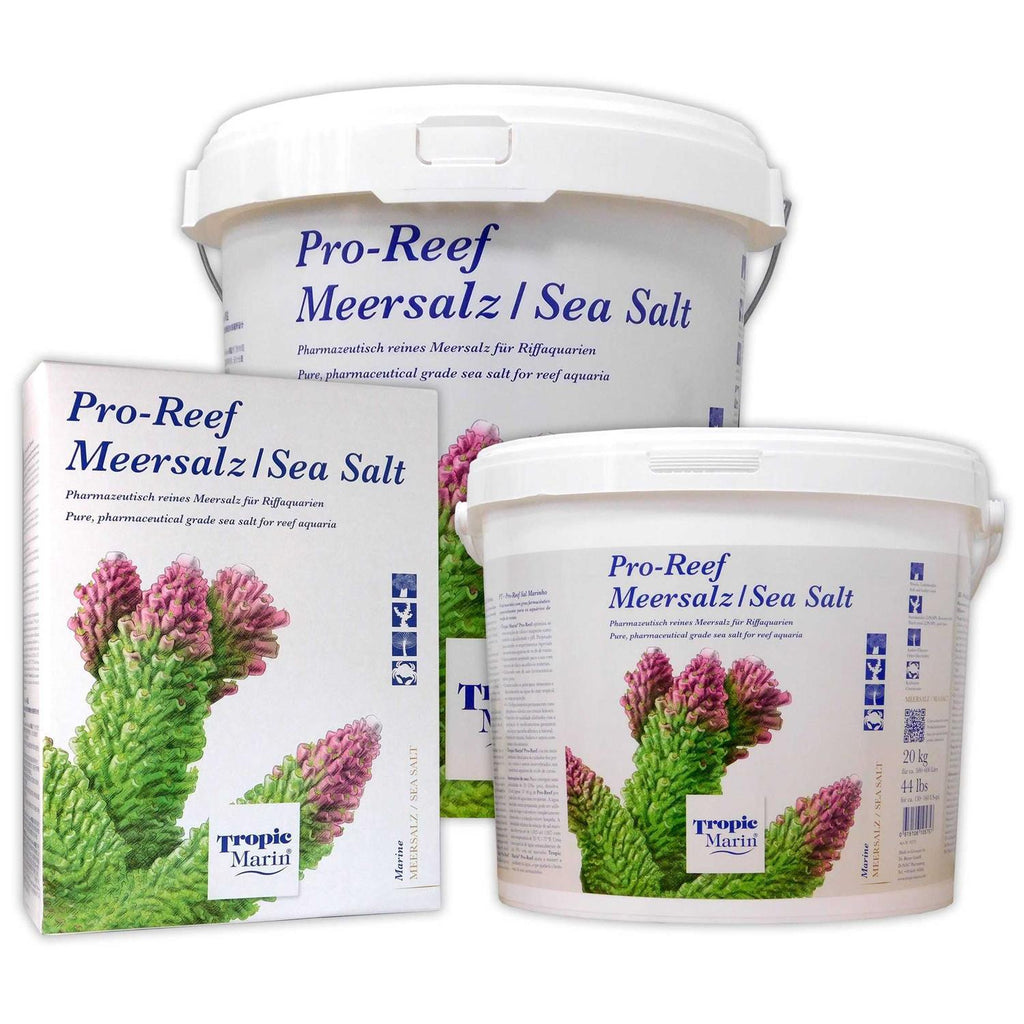 Sea Salt I97129