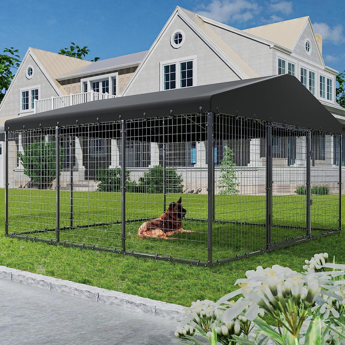 Large Heavy Duty Galvanized Steel Outdoor Dog Kennel N920