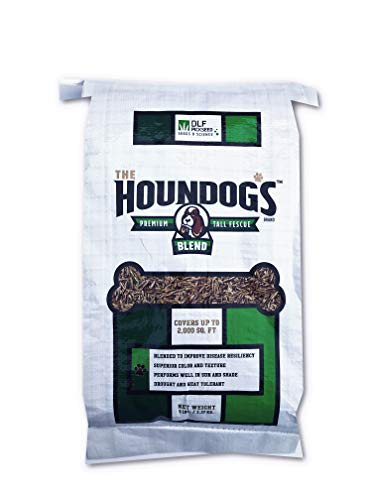 Tall Fescue Grass Seed 5 lbs Y62794