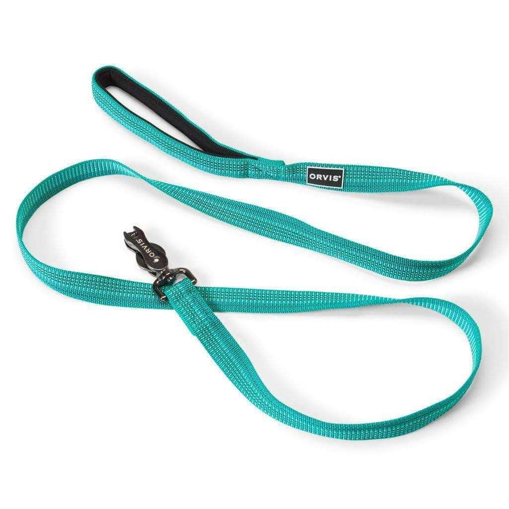 Dog Collar V894783