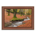 Beech Framed Photograph Print T483