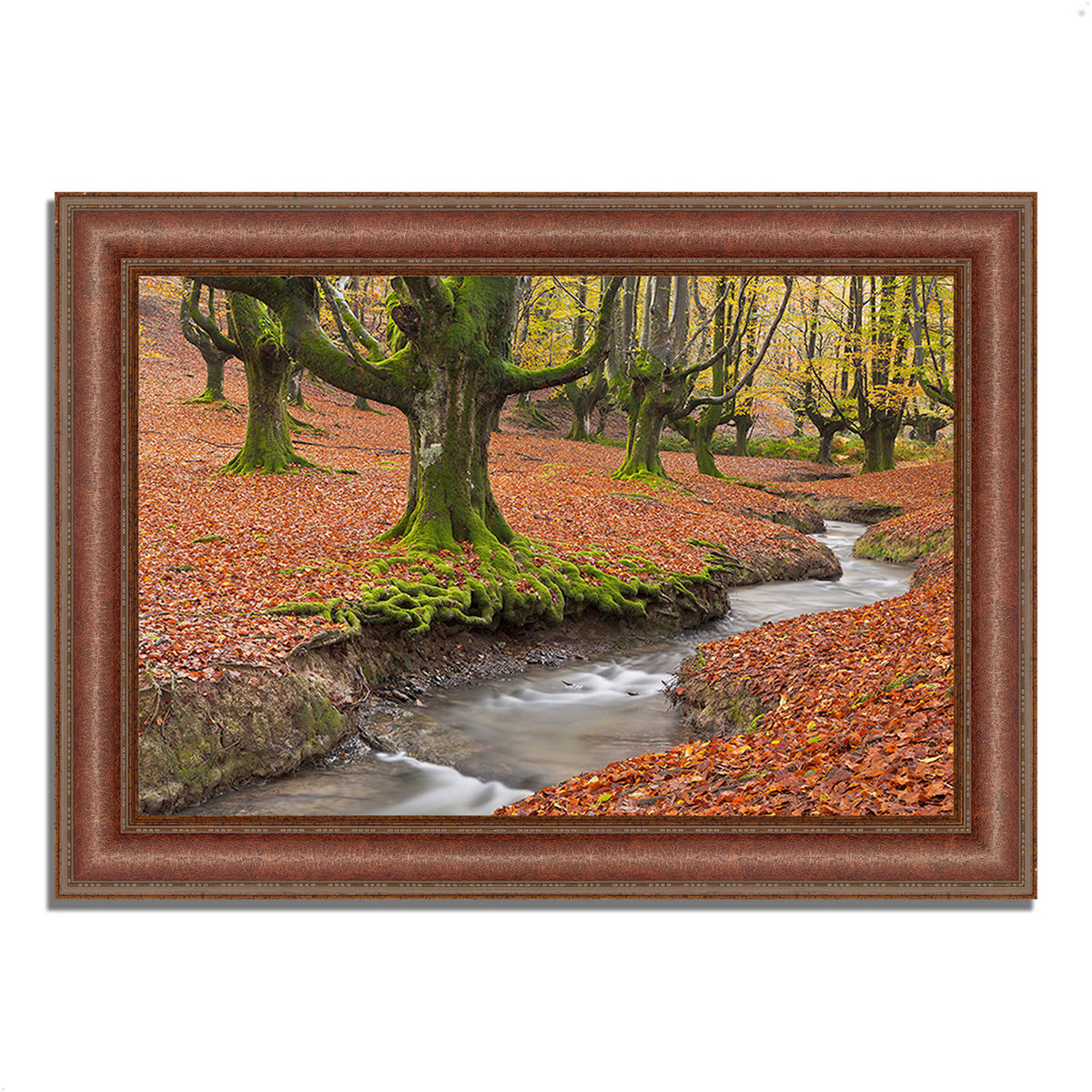 Beech Framed Photograph Print T483