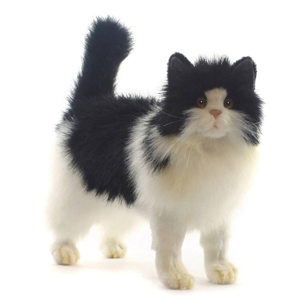 Black and White Cat Plush Q944129