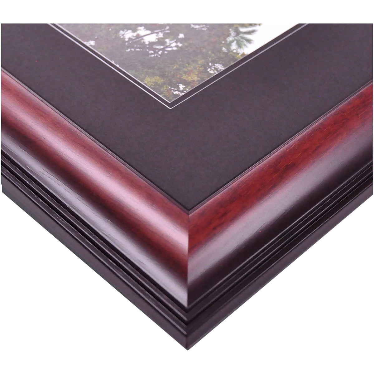 Diploma Frame E784