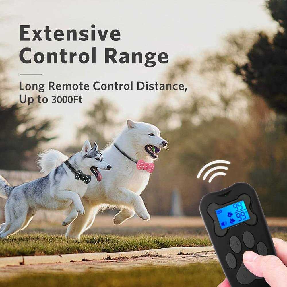 Rechargeable Electric Dog Training Collar for 2 Dogs I1655