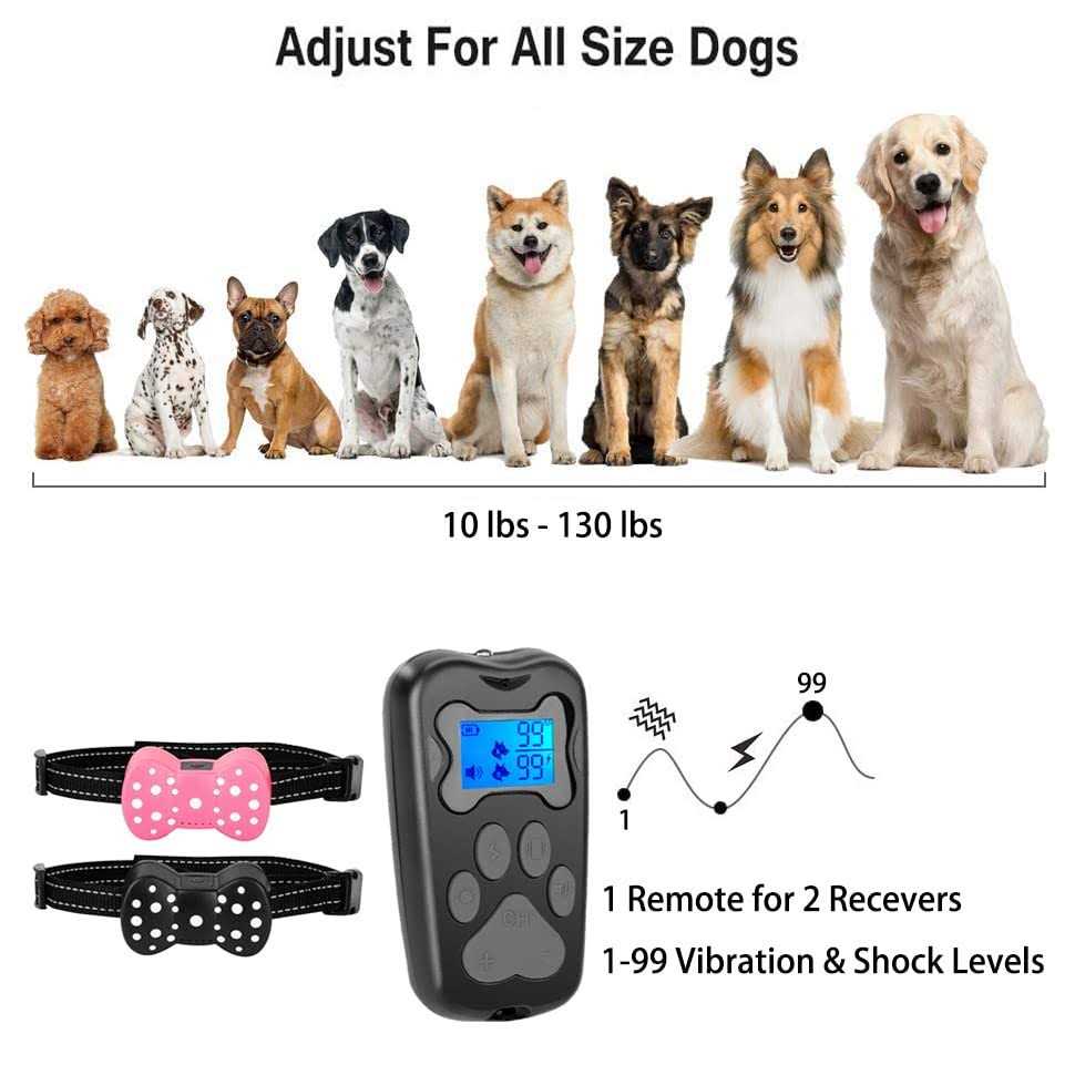 Rechargeable Electric Dog Training Collar for 2 Dogs I1655
