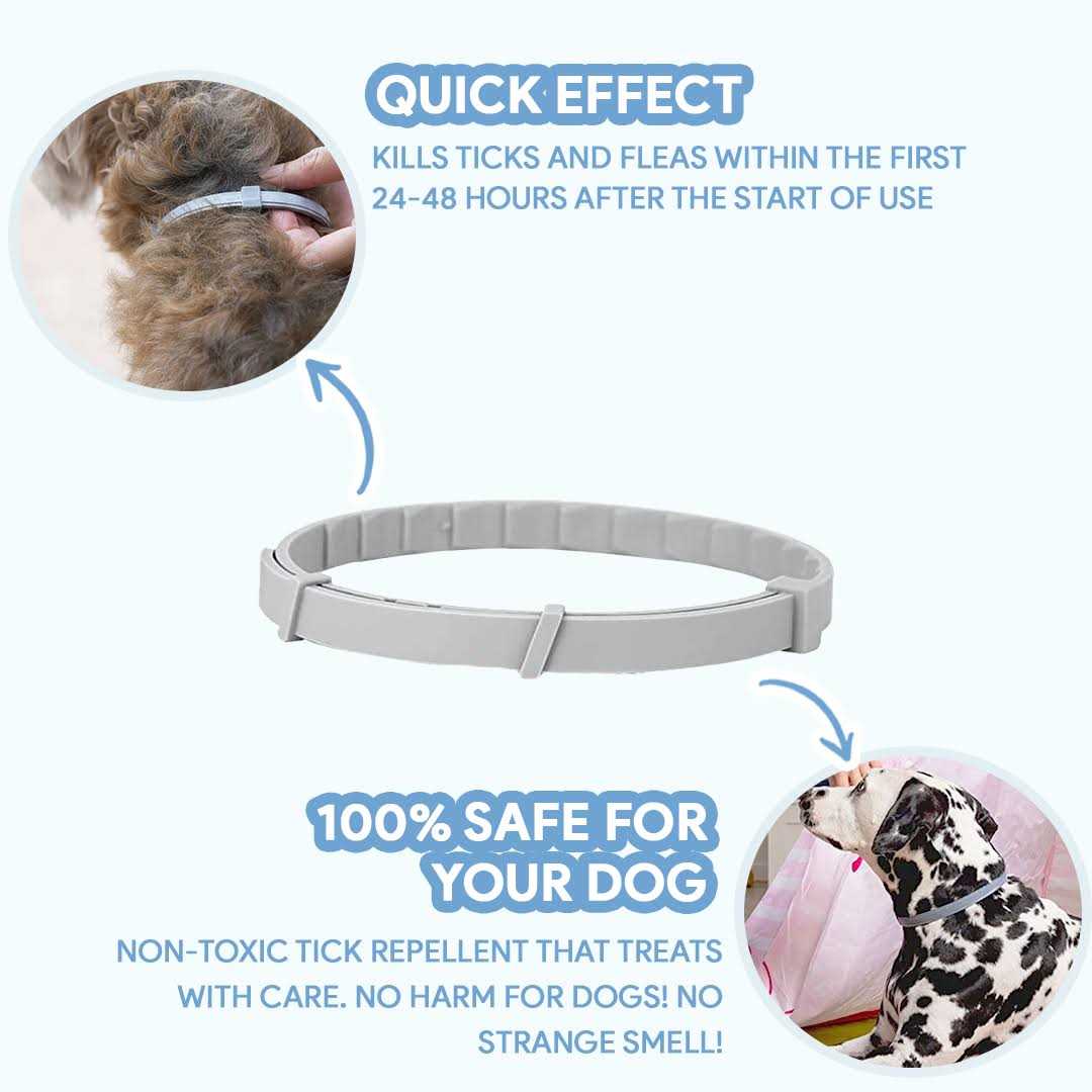 Flea & Tick Repellent Dog Collar E6061