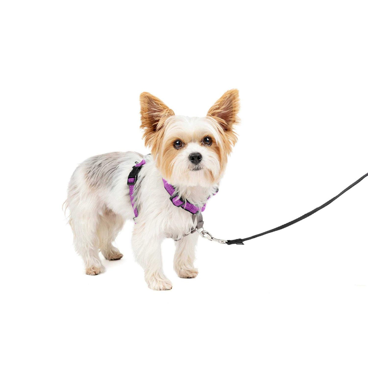 3 in 1 Harness U142