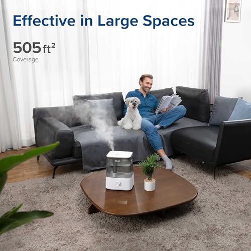 6L Cool Mist Top Fill Humidifier U348396