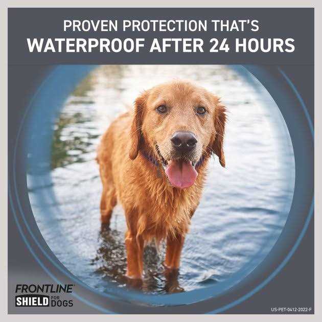 Flea & Tick Treatment for Dogs V339